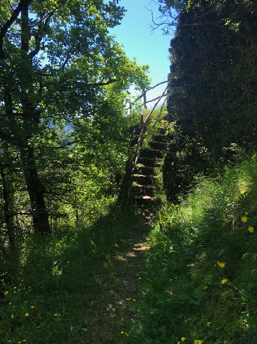 Montez l'escalier pour rejoindre le village de La Vinzelle et admirez la vue sur la vallée du Lot