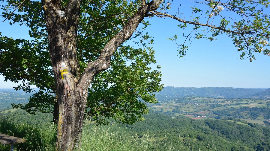 Au cours du parcours Trail du Grand-Mas en Aveyron, découvrez la chapelle Saint-Jean le Froid et son point de vue à 360°.