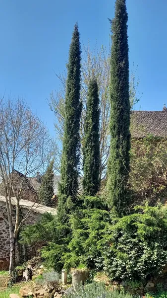 Extérieur chambre Mésange