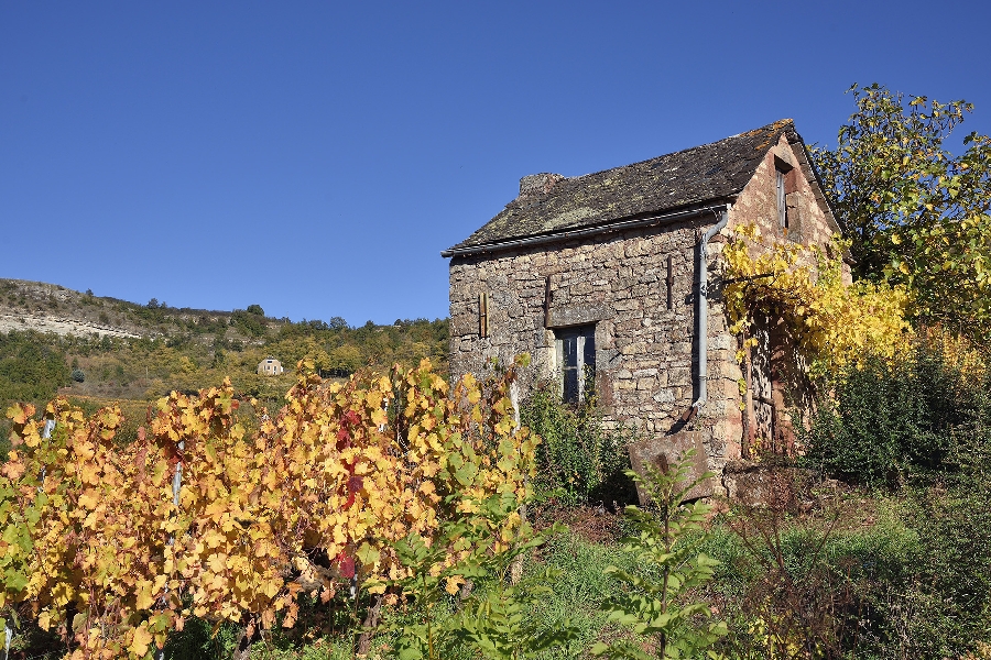 Cabane de vigne dans le Vallon de Marcillac