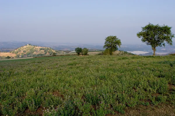 La Talonie, gîte en pleine nature