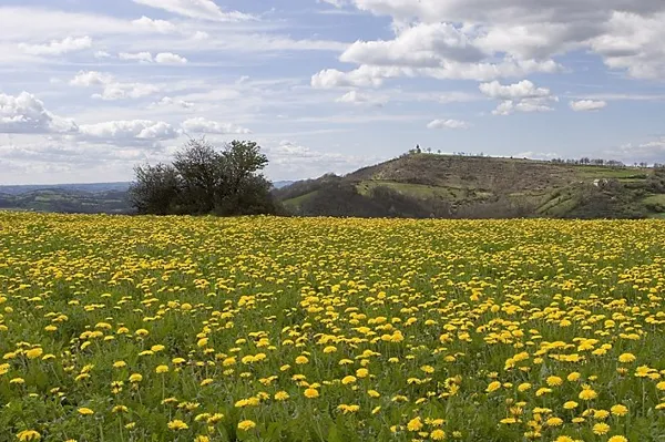La Talonie, gîte en pleine nature