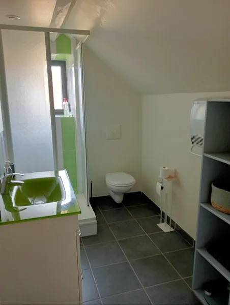 Salle d'eau, Figuiès