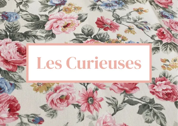 Les Curieuses - Boutique d'artisans à Conques
