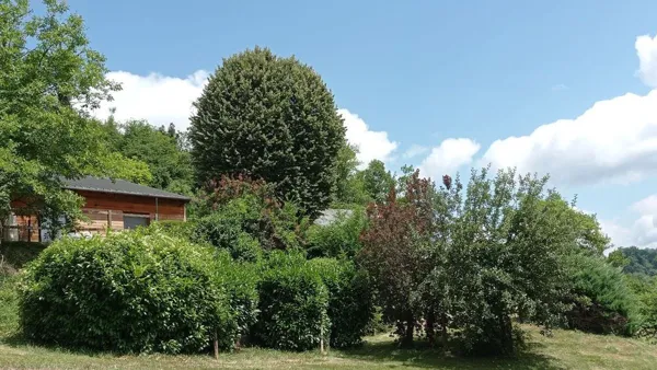 Le gîte niché dans la nature