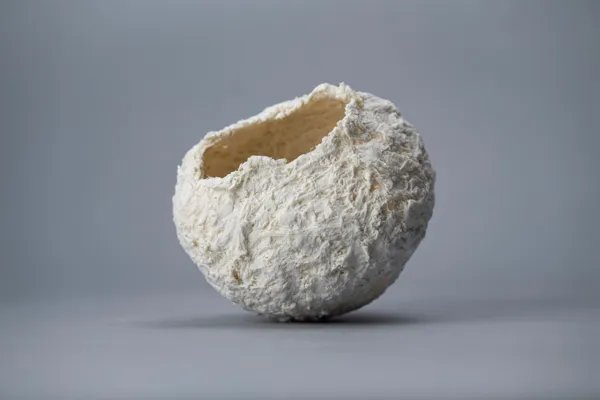 Vase fibre vegetale