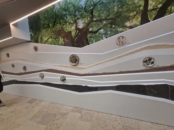 Espace Patrimoine et Paysages - accueil