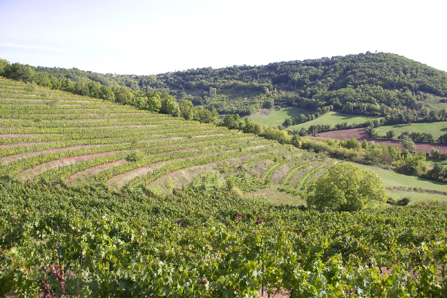 La route des vins de Marcillac