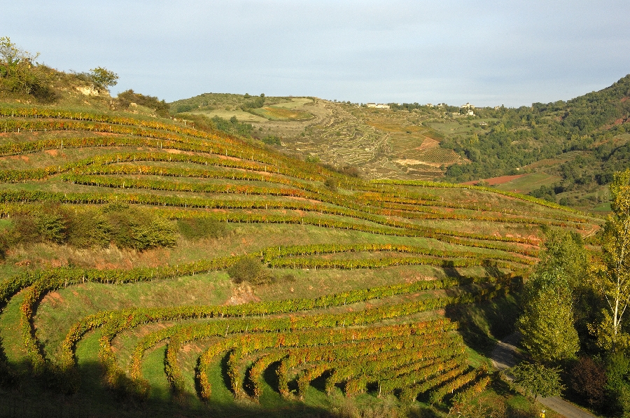 La route des vins de Marcillac